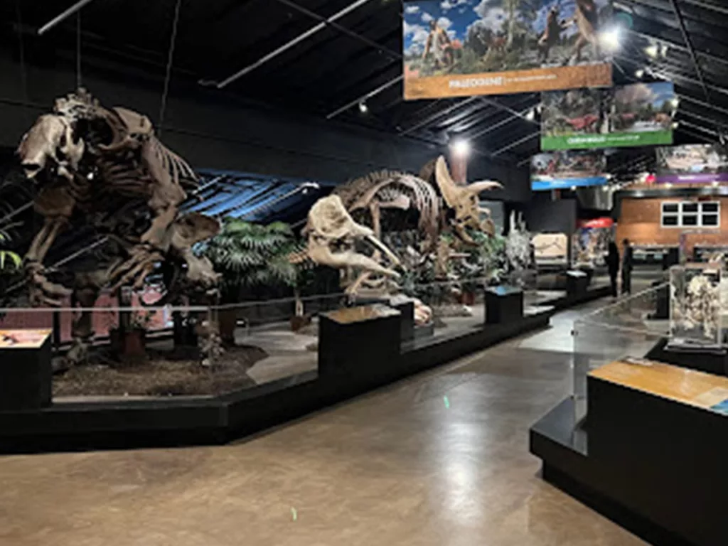 Piney Point, TX 8 Houston Museum of Natural Science at Sugar Land 1
