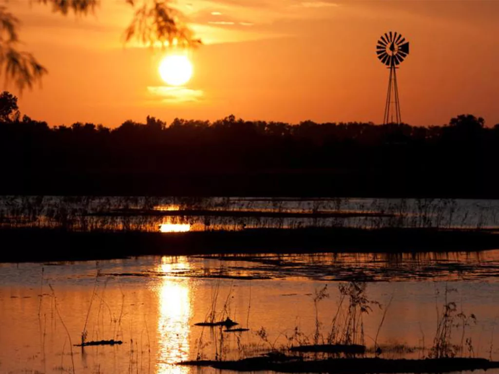 Greatwood, TX 8 Sugar Land Memorial Park